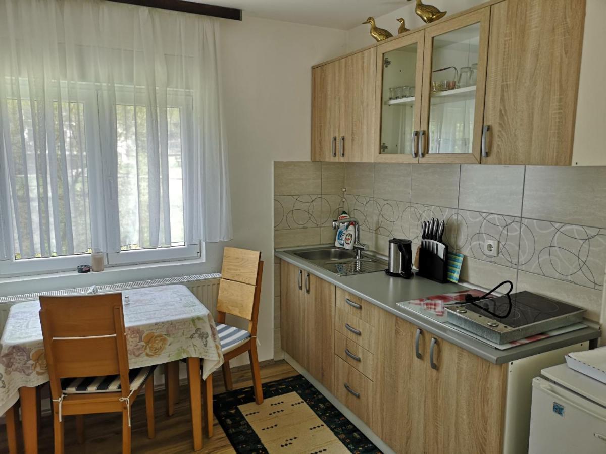 Apartmani Zubor Баня-Ковиляча Экстерьер фото